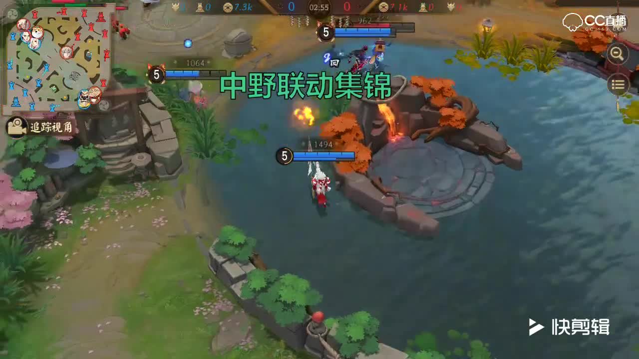 阿林：中野联动集锦-抓蹦对方