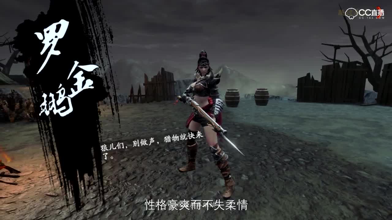 罗金鹏攻略