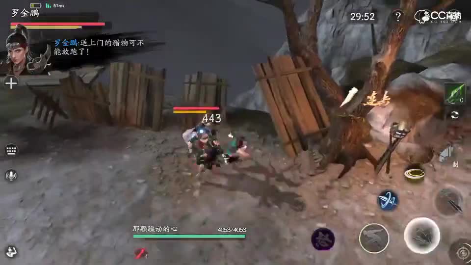 剑拳 罗金鹏
