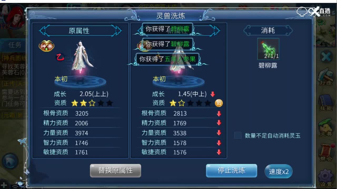洗宠物宝宝