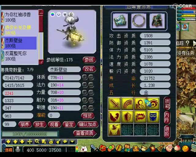 老王日常不亏：价值18万的灵饰和宠物展示