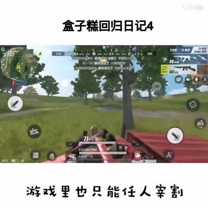 盒子糕回归日记4