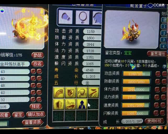 老王估宠：这只死亡法防资质太好了