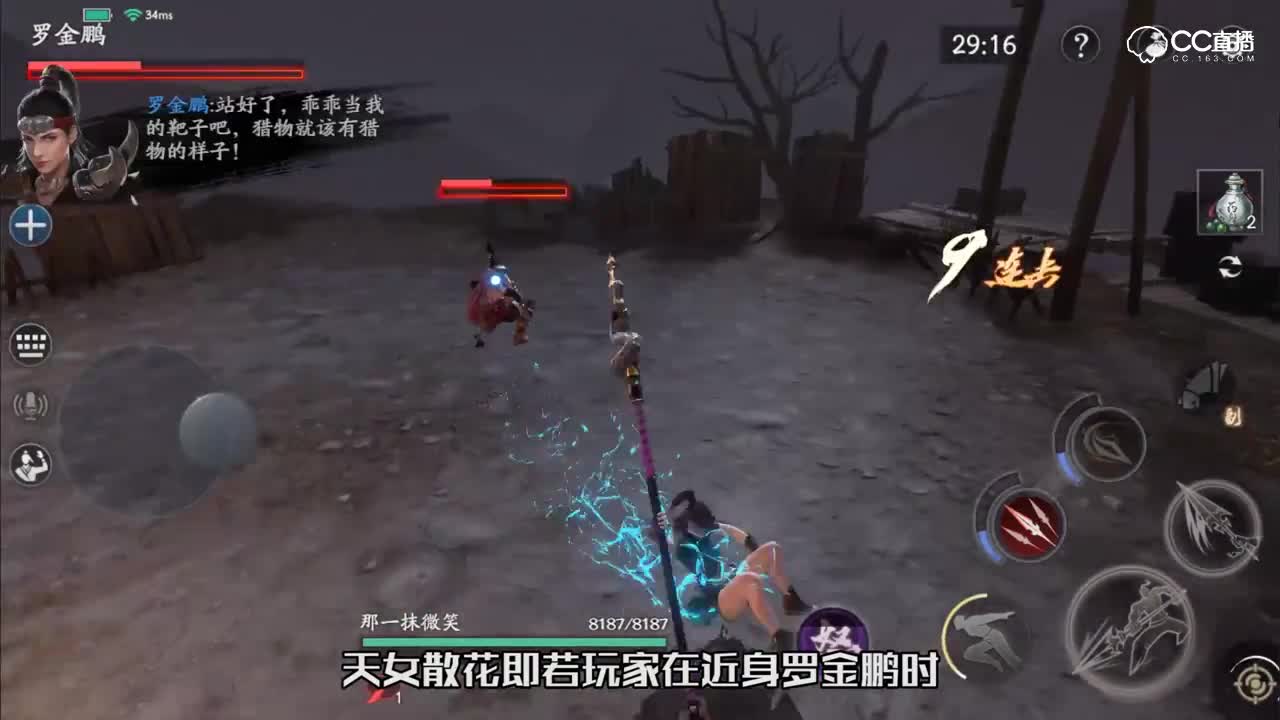 独步武林13 boss罗金鹏
