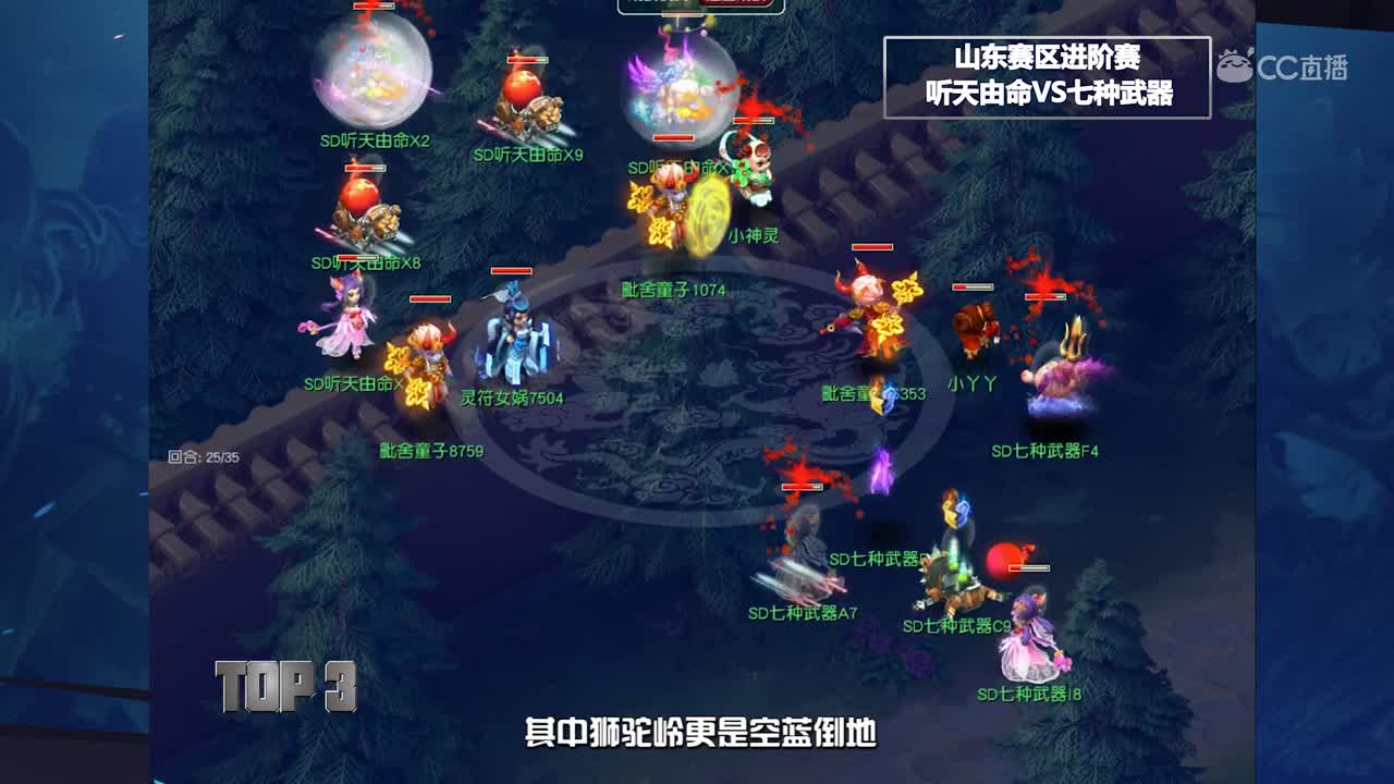 全民top10-听天由命