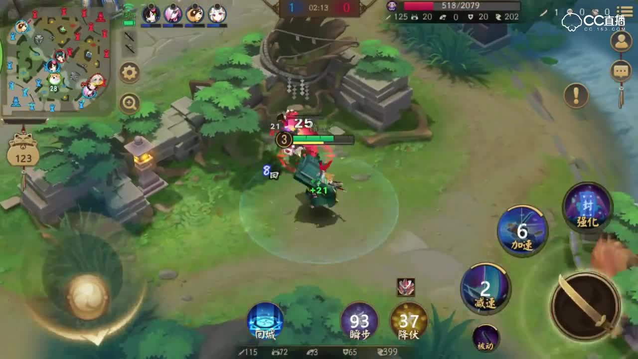 《决战平安京》记录一只藏獒，出生到死亡全过程