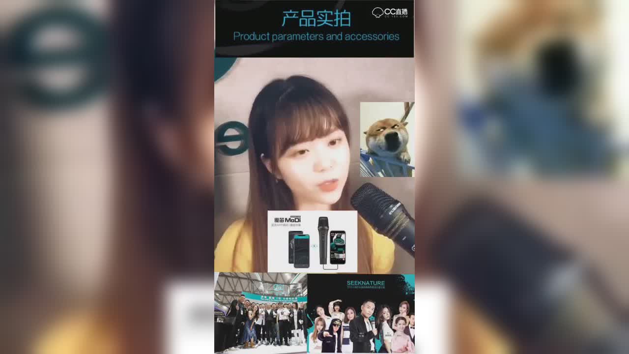 圈子精彩视频
