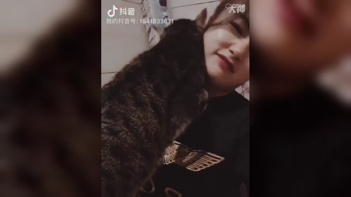 酒哥视频
