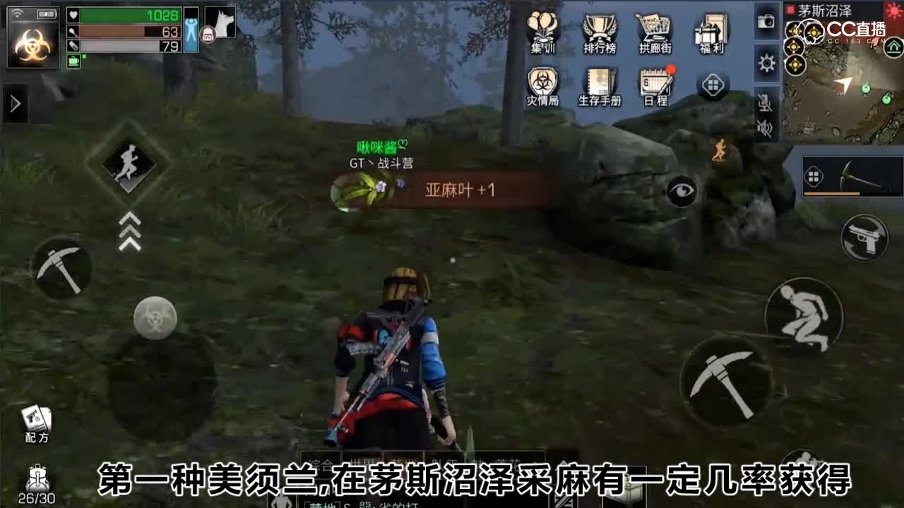 茅斯沼泽特殊道具有哪些？