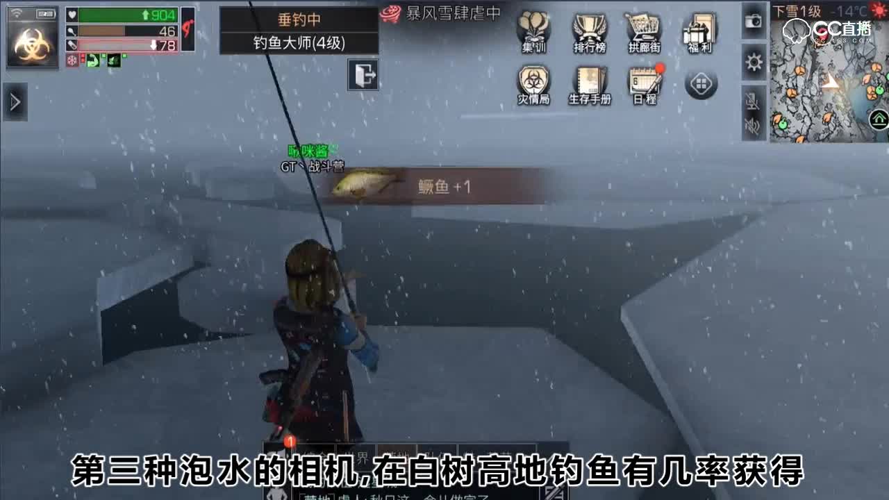 白树高地特殊道具有哪些？