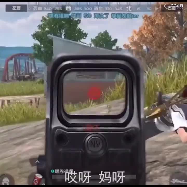 此腿本应天上有
