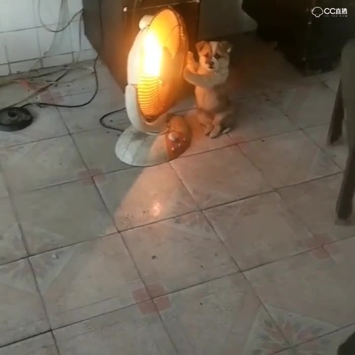 队友倒地后