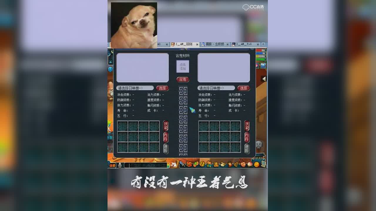 阿海：这是一只有故事的海龟