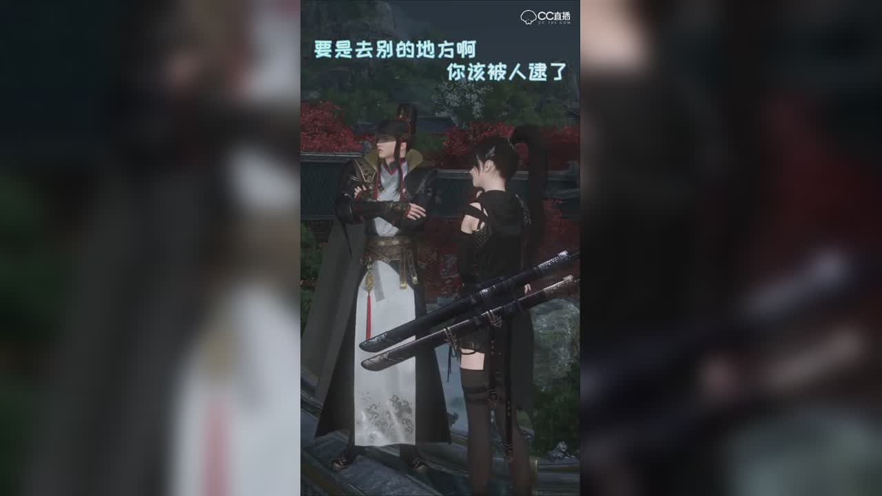 捕快与飞贼