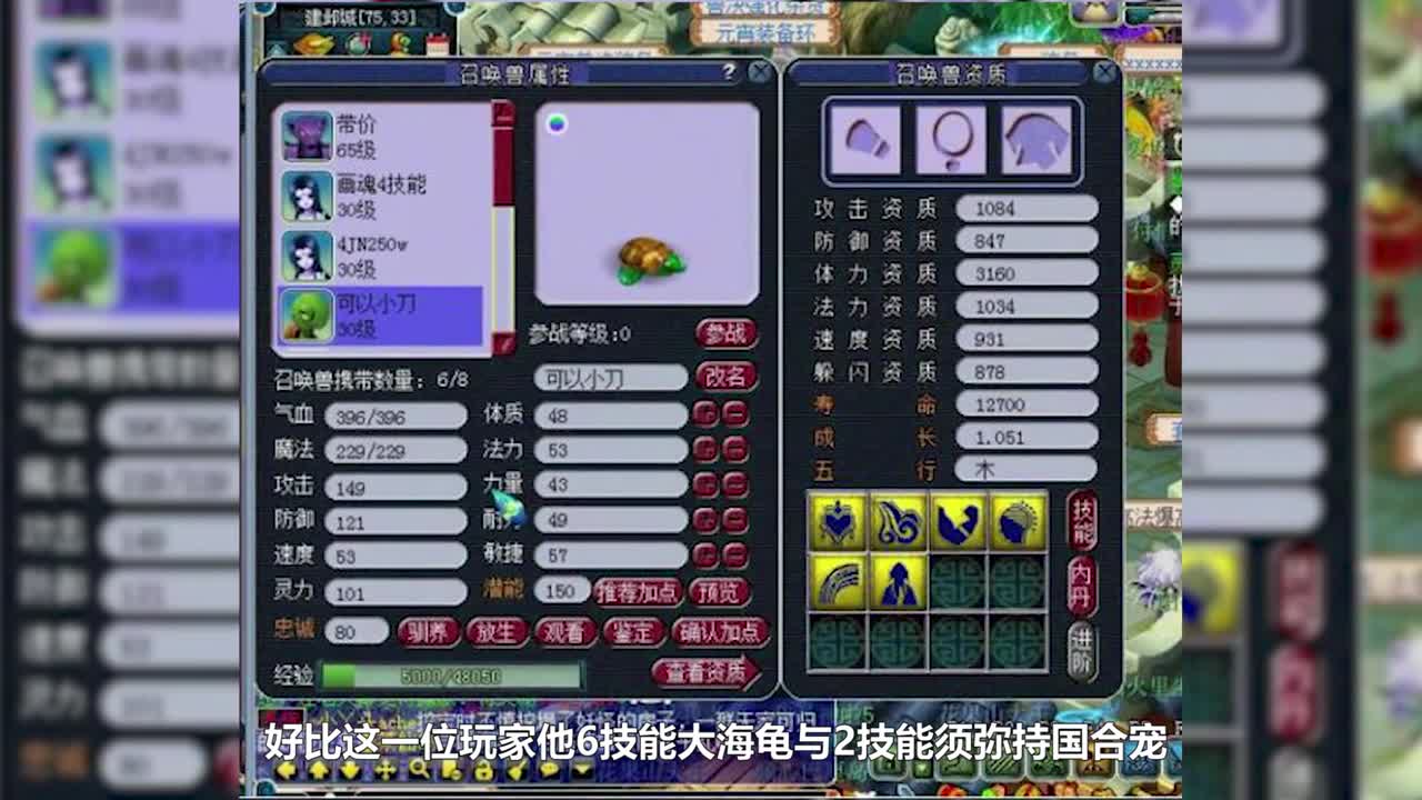 法宠认证需要多少钱？