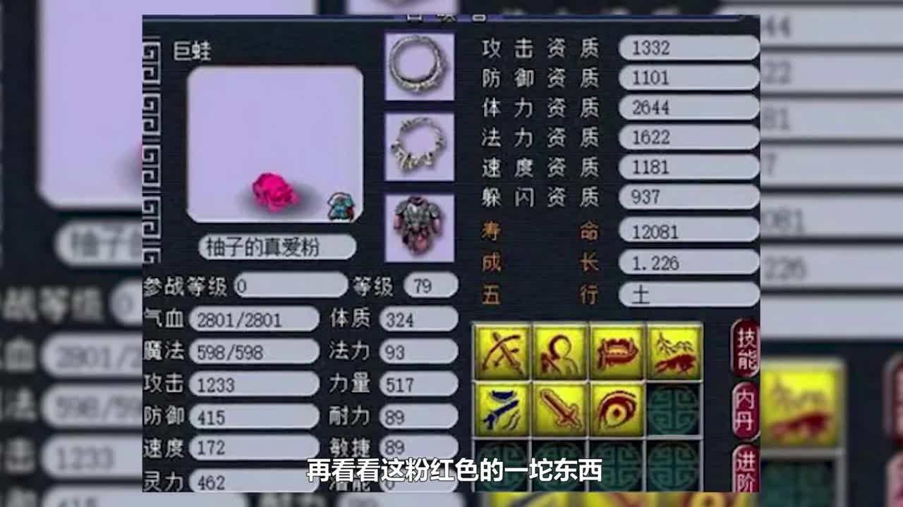 东海湾个性宠鉴赏