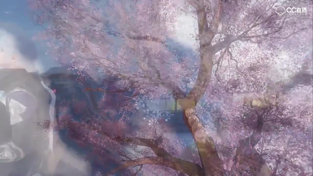 燕无归一起淡看江湖