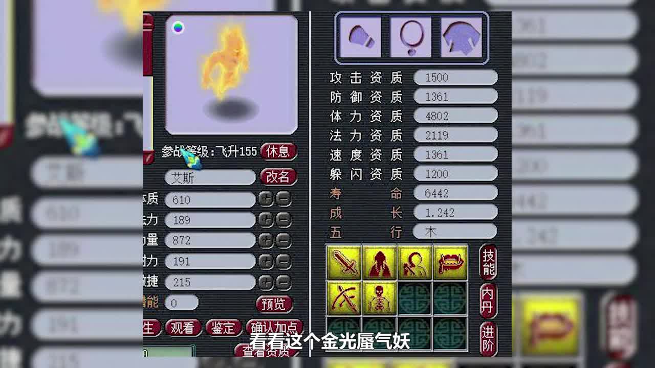 逼王宠物鉴赏