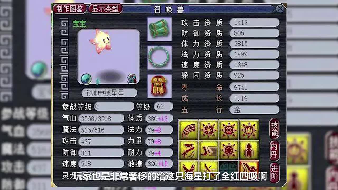 东海湾个性宠鉴赏
