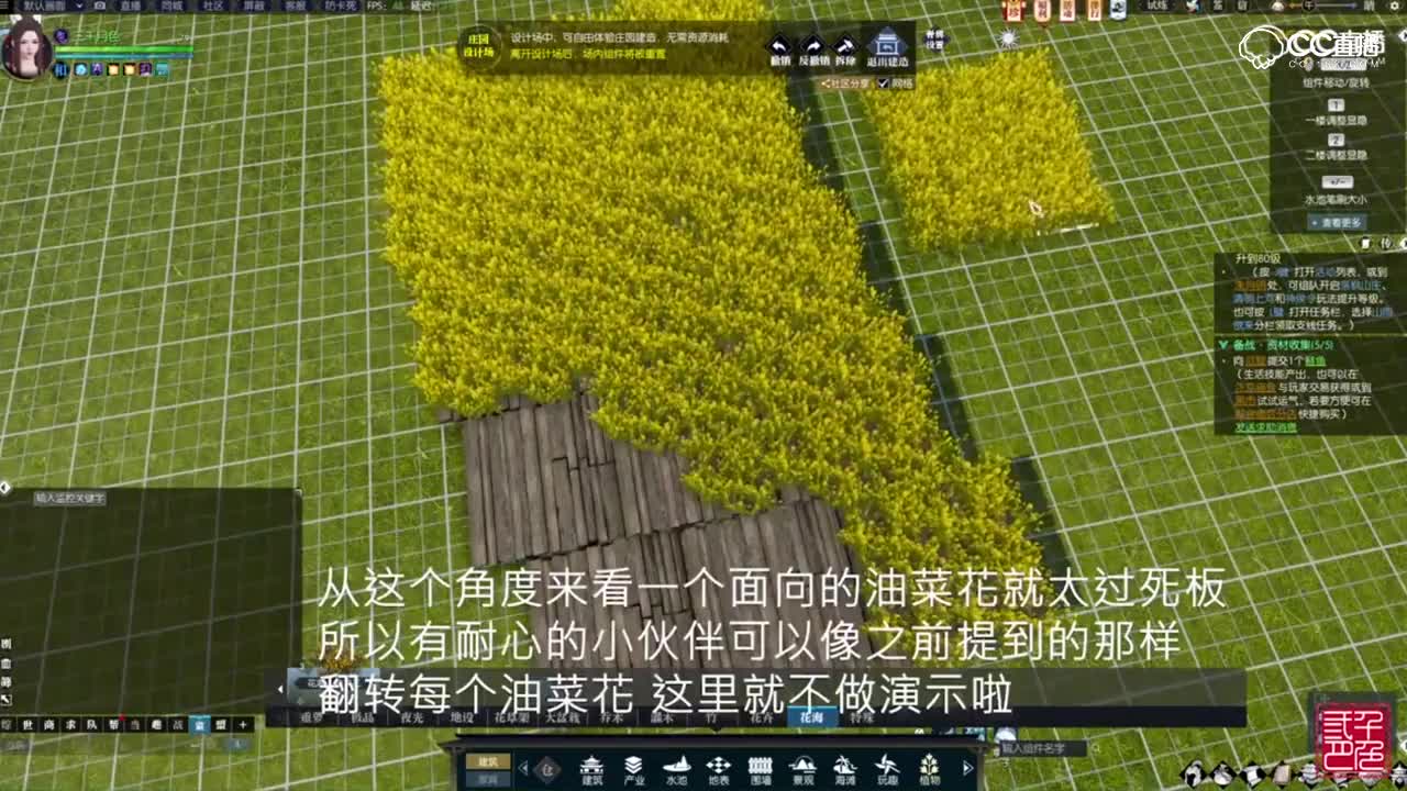 油菜花梯田，太美了~
