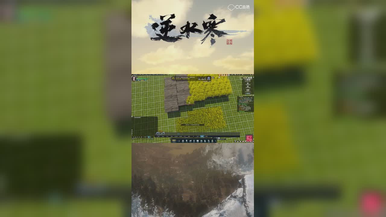 油菜花梯田，太美了~【竖屏】