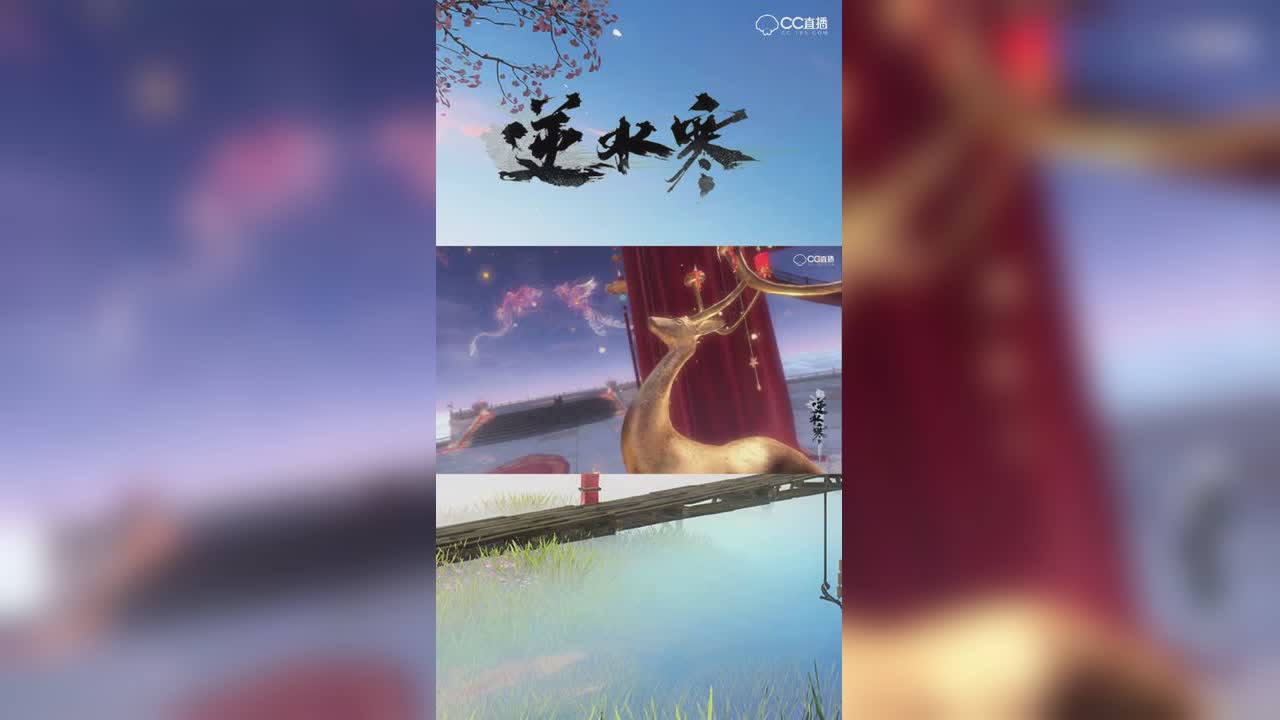 超浪漫婚礼场景实拍【竖版】