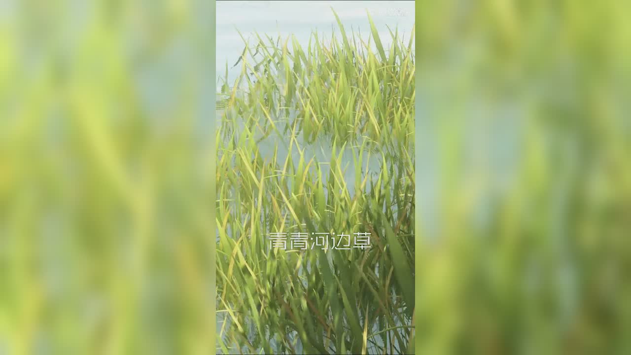 流口水