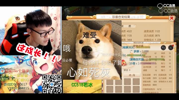 【梦幻西游手游】若冰蜜汁珍兽黄胖纸服战可惜没有上古，7技能就满足了！