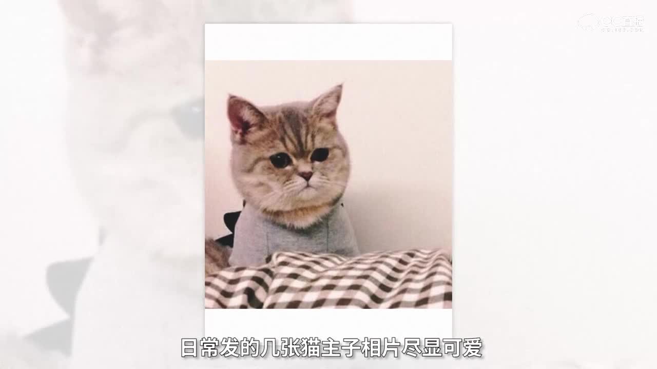 阳光魅力榜-男生榜