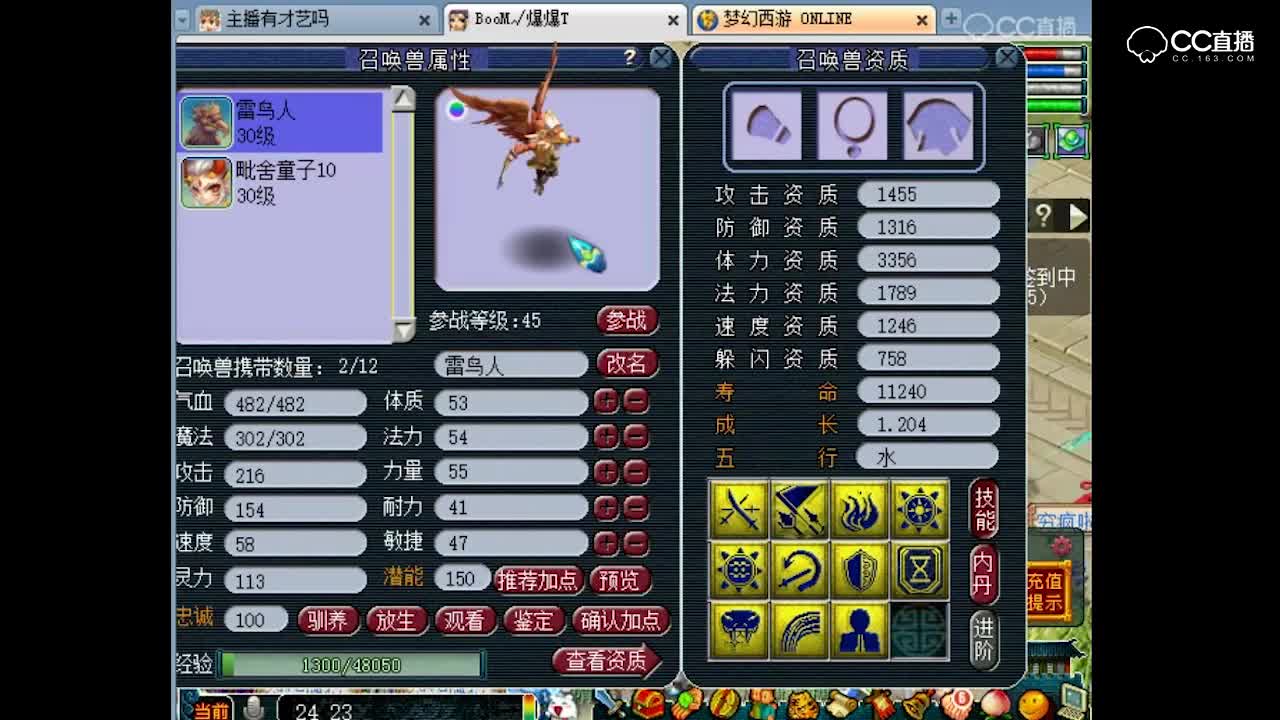 抗揍10技能童子+11技能雷鸟炼妖