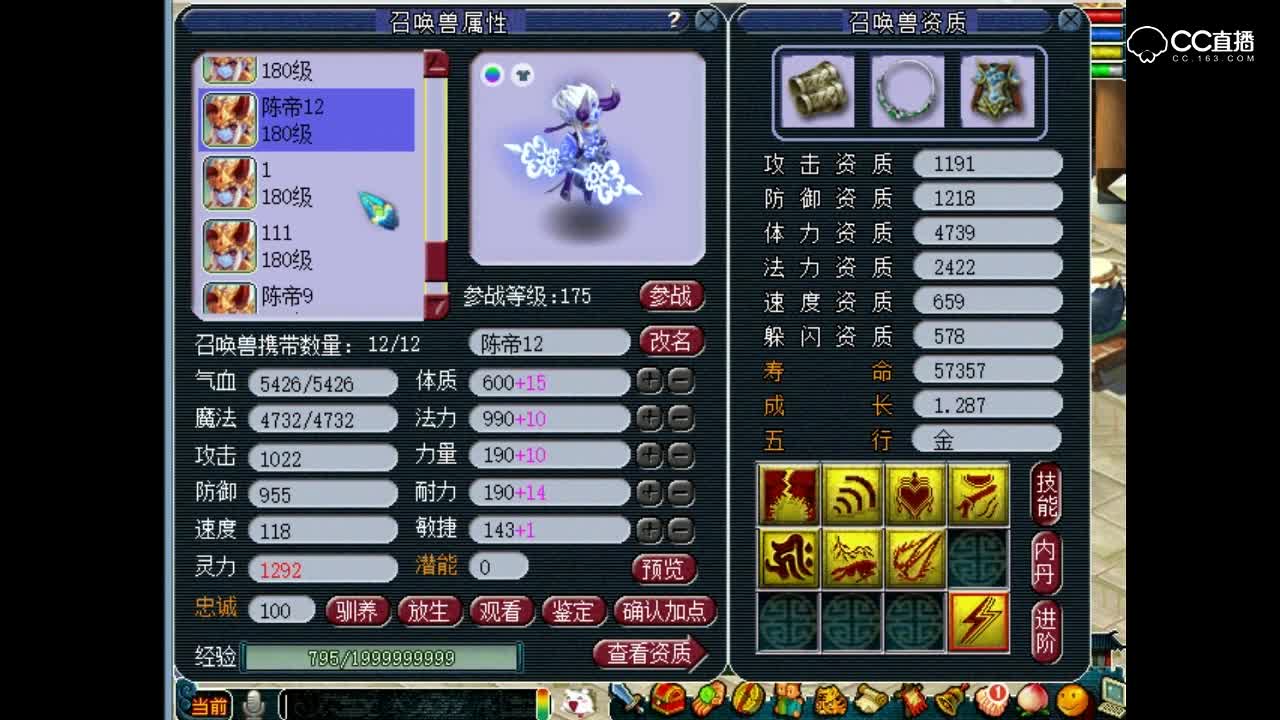 孔雀老板装备和宝宝展示