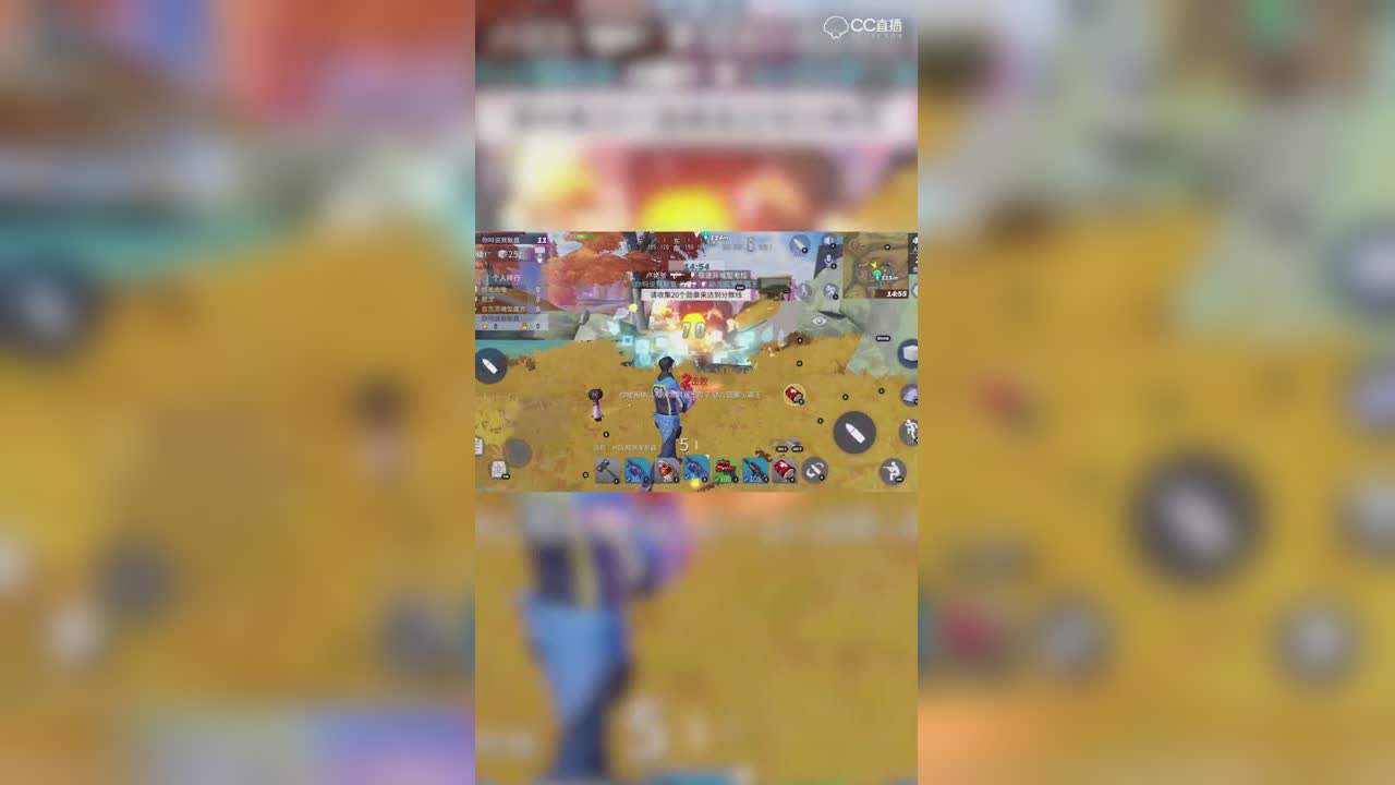 野叔：给你讲一下什么叫野