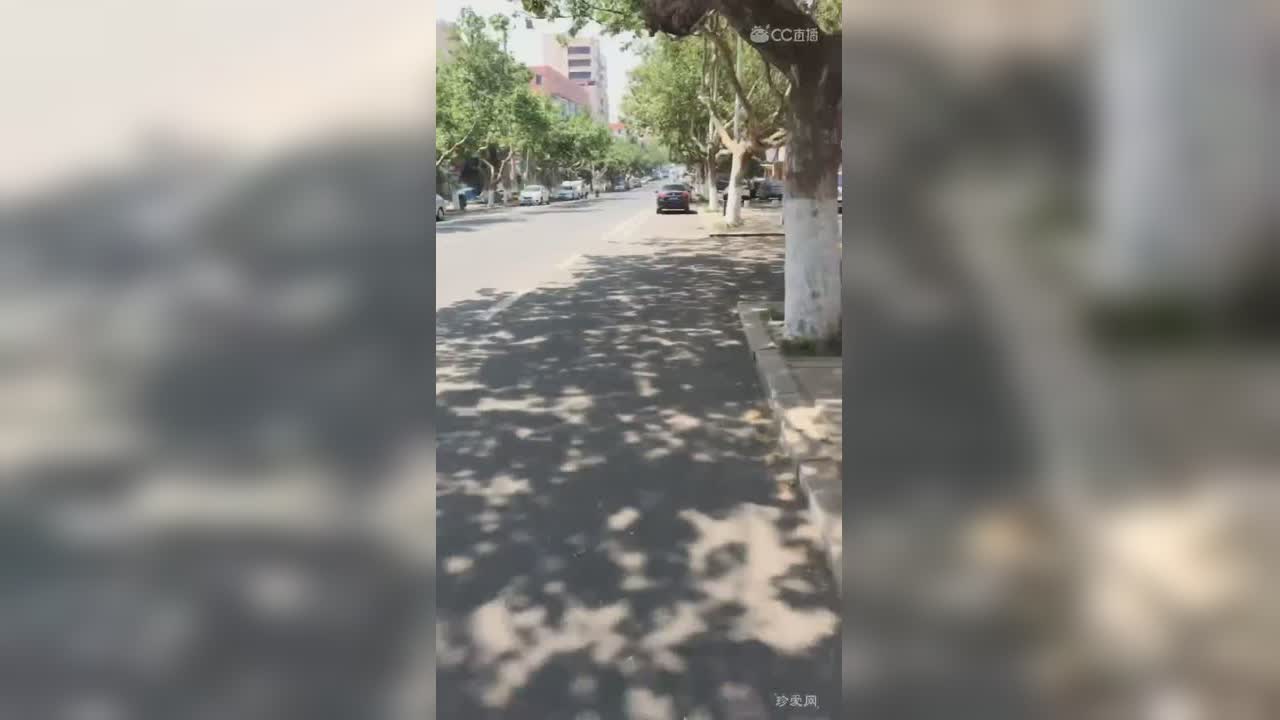 下月正式直播。