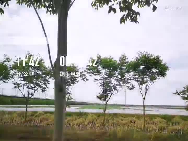 日常晨练打卡～城市在发展，农村在建设。可看着曾经熟悉的地方变成的农田变成了铁路，而曾经的人儿却只能v......
