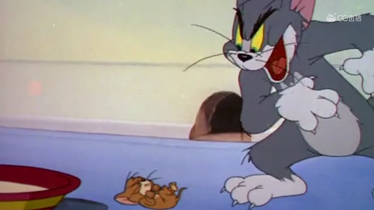 猫和老鼠加片头改