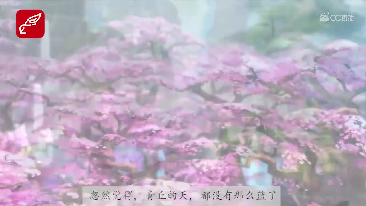 我有一个青梅