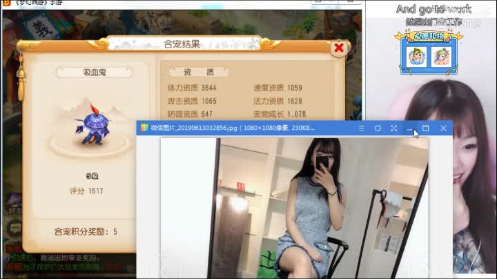 麦兜合宠