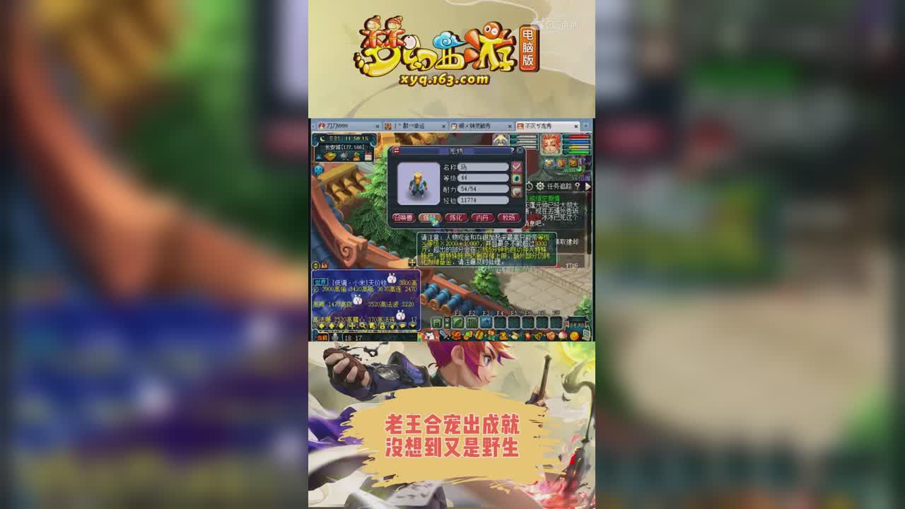 老王合宠出成就，没想到又是野生