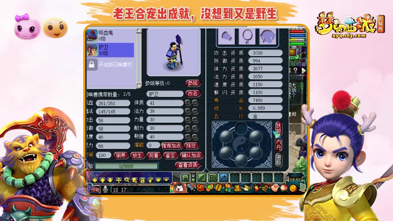 老王合宠出成就，没想到又是野生