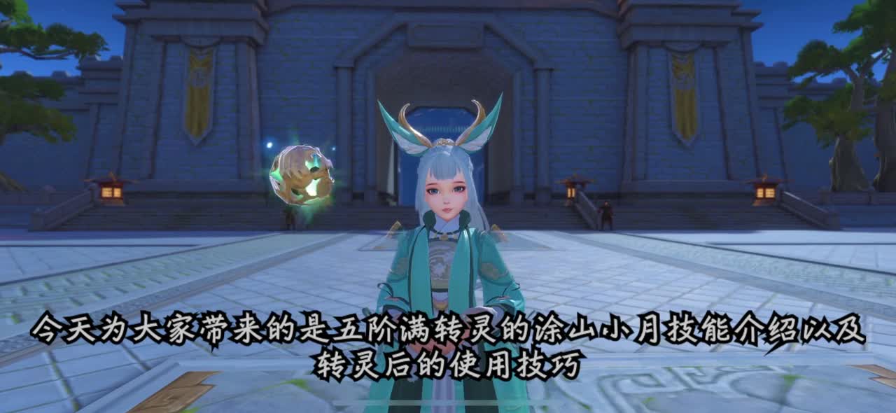 实验视频