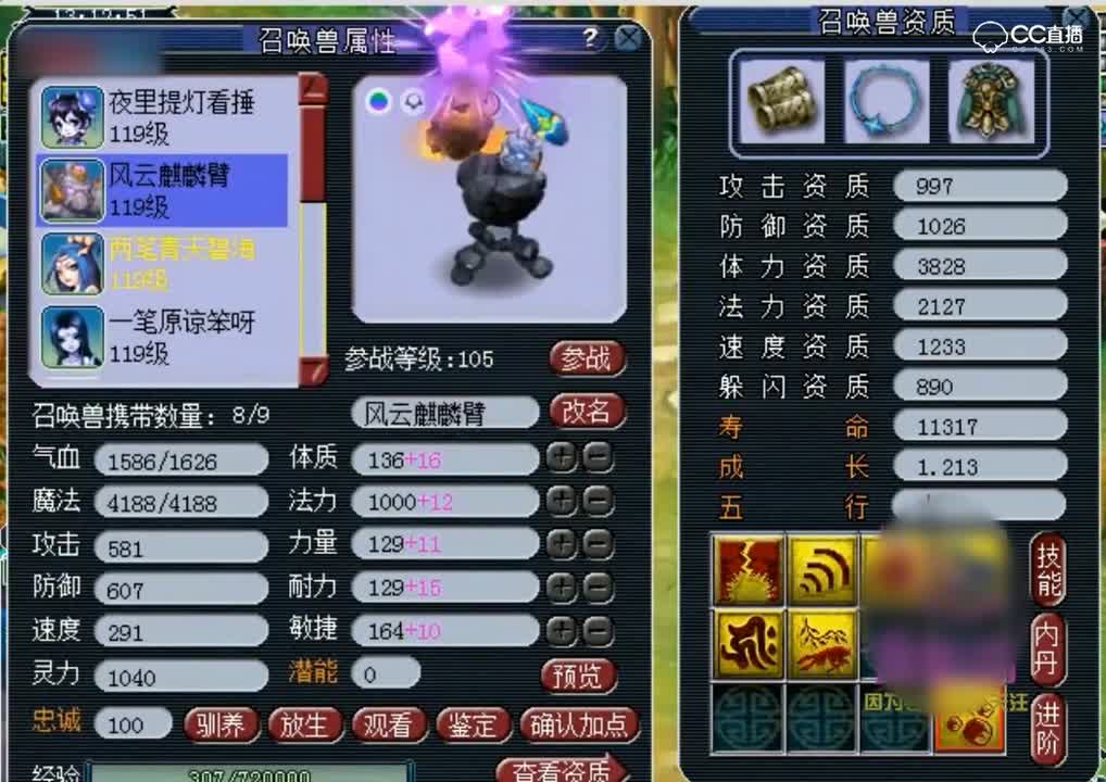 梦幻西游 这种稀有宝宝很多人没见过, 太难捕捉了, 只有夜里才出现