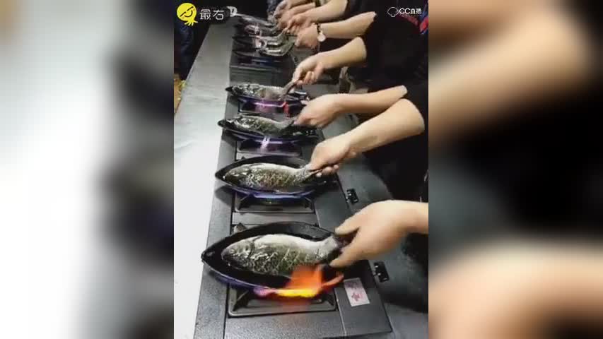 第二条鱼：我还能抢救一下