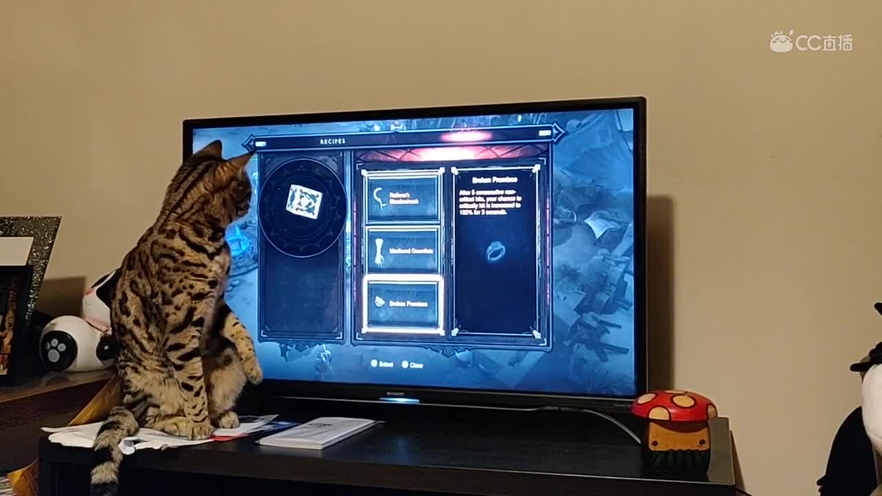 猫猫也想要卡奈魔盒
