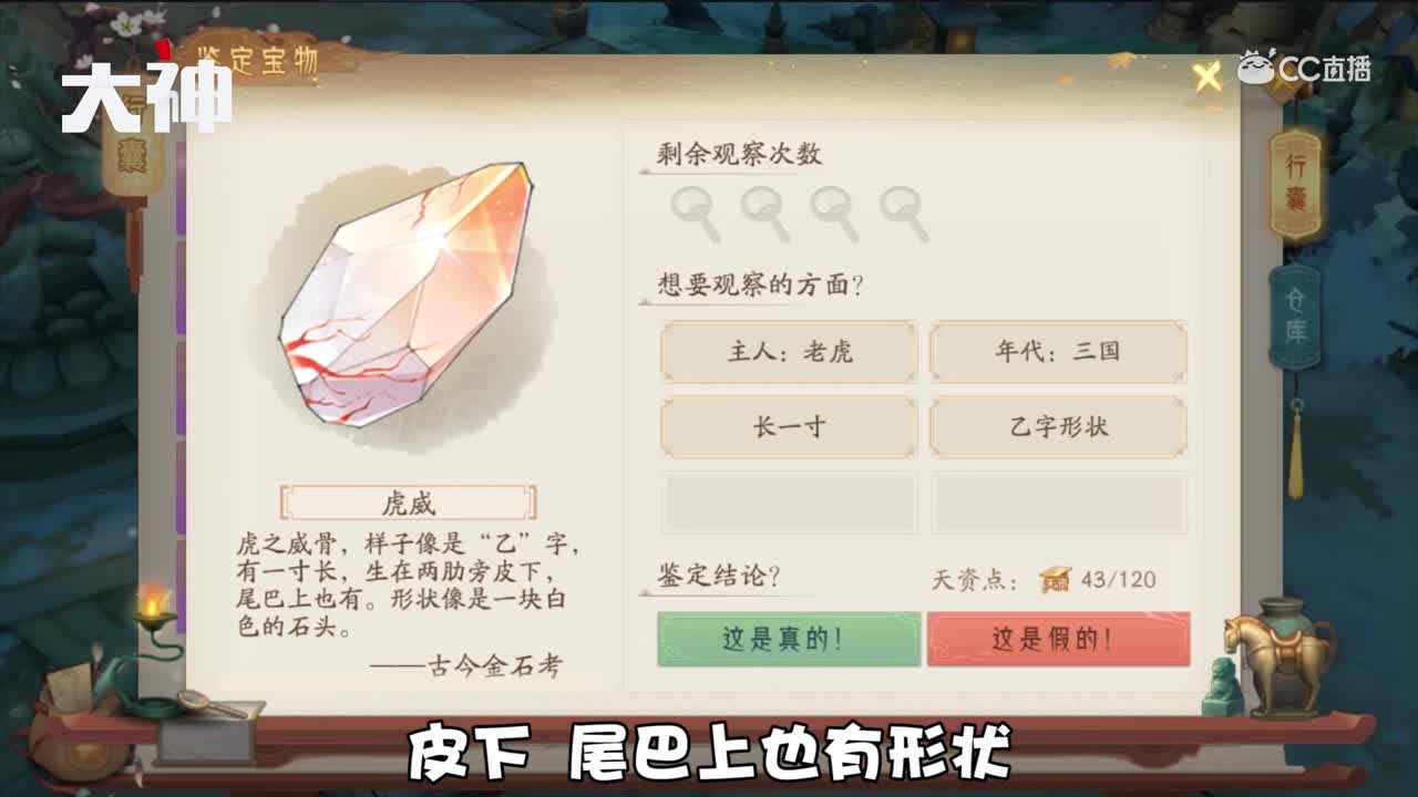 【干货大爆料】珍品鉴定攻略—100%鉴定珍品 第六期