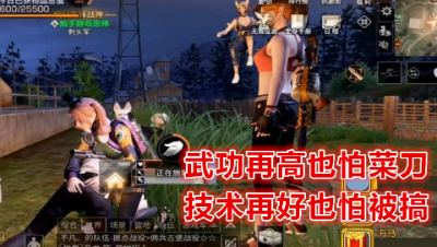 武功再高也怕菜刀!技术再好也怕被搞!明日之后 静观思禅