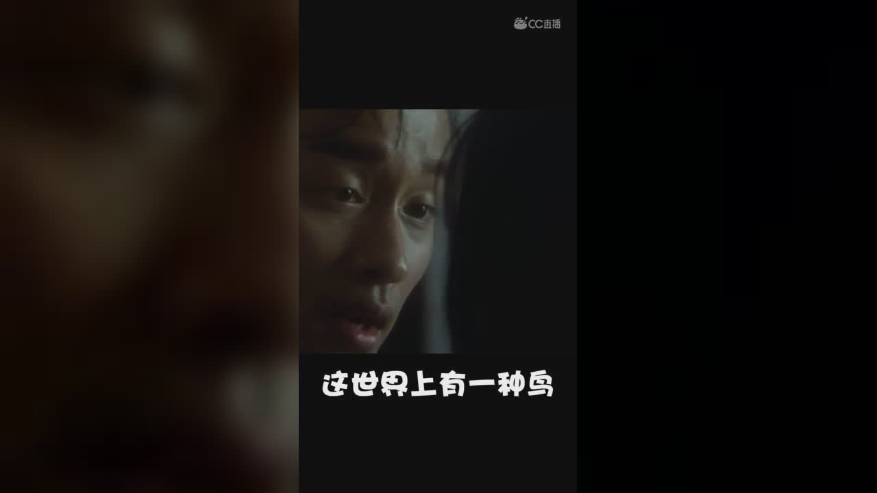梦幻西游日常之没有脚的鸟