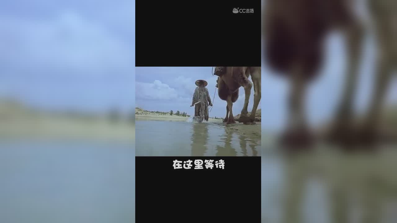 梦幻西游日常之守候的爱