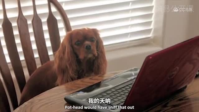 【熟肉】哈利·波特的101个真相-0001.网易-哈利·波特的101个真相[超清版](2)[流畅版]