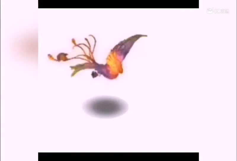 召唤兽进化