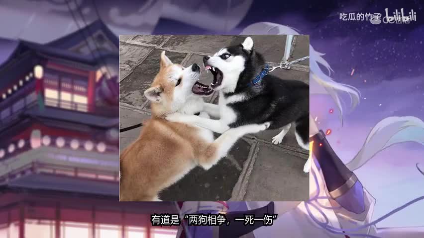 【阴阳师百闻牌】两狗相争智者胜！花式吊打大天狗攻略第二弹，排位上分也可用这一套！